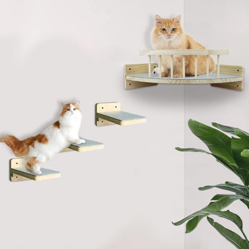 Cat Climbing Wall The 15 best products compared Wild Explained