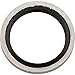 BikeMaster 10-Pack Fuel O-Ring (14mm)
