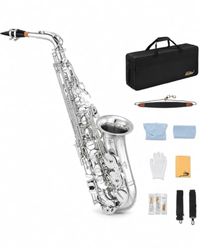 Generic Alto E♭ Saxophone Starter Set, Silver - Image 2