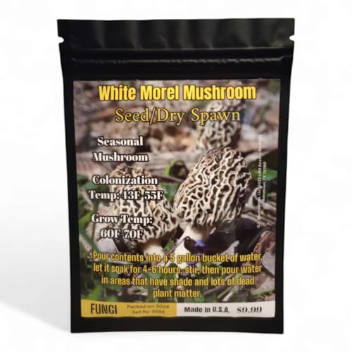 White Morel Mushroom Seed/Dry Spawn