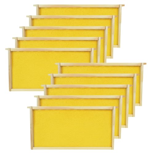 HiveSweet Deep Brood Beehive Frames with Wax Foundation 10pack Beehive Frames Beeswax Dipped Plastic...