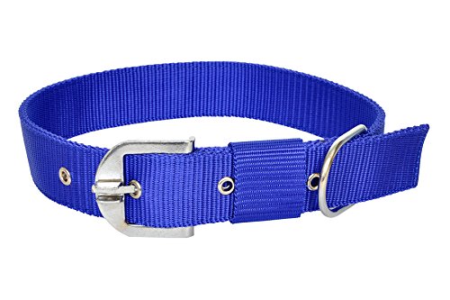 Image of No Pull -Step in Soft Padded Buckle Dog Harness and Collar Leash - Escape Proof Adjustable Combo for Walking Training Hiking Outdoor (Blue, Extra Small)