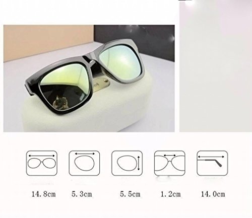 Polariseur YL 2 idéal pour réussir vos photos de paysage en voyage