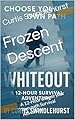Frozen Descent : A 12-Hour choose your own path Survival Adventure. (English Edition)