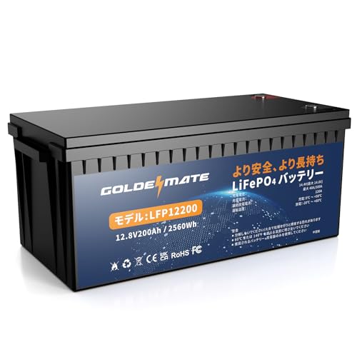 LiFePO4 リン酸鉄バッテリー12.8v125ah×2個セット