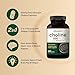NatureBell Choline Supplements 500mg with Omega-3 Fatty Acids, 240 Capsules | High Potency Choline Bitartrate – Prenatal Support During Pregnancy – Promotes Energy, Liver, Brain, & Cognitive Health