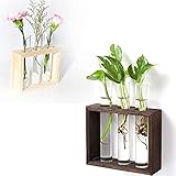 【Anwendbarer Bereich】 Perfekter Hydrokultur-Pflanzenhalter kann für Wasserpflanzen, Blumen, Lichtpflanzen verwendet werden. Wie Usambaraveilchen, Glücksbambus, Rosen, Tulpen, Geranien, Lilien, Sonnenblumen, Nelken usw.