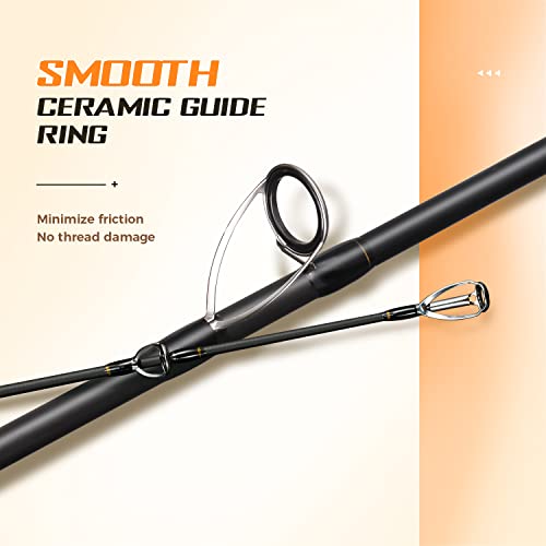 Berrypro 743693427975 Surf Spinning Rod Graphite Surf Fishing Rod  thumb #1