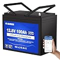 DC HOUSE 12V 100Ah LiFePO4 Lithium Battery, Bluetooth & Low Temp Cut-Off, Group 31 Lithium Battery, Up to 15000 Cycles, 100A BMS, Perfect for Trolling Motors, Marine, Boat, Solar