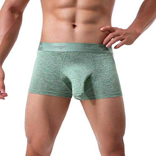 Generic Men's Erotic Hollow Elephant Trunk Boxer Briefs,Stretch Fabric Elastic Adjustable Comfort Fashionable Sexy Underwear3