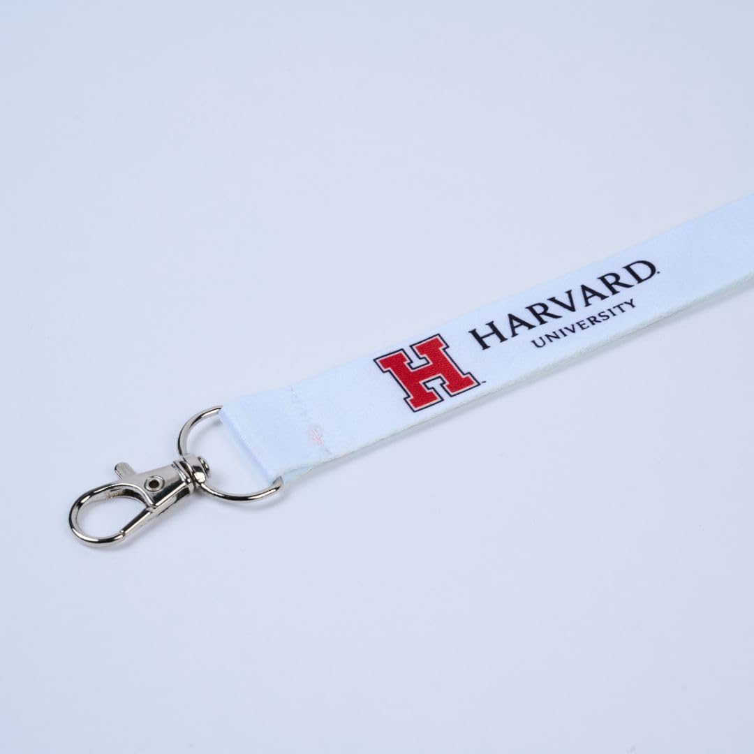 Harvard cobra 13.000 dólares por la formación DEI sobre cuestiones de