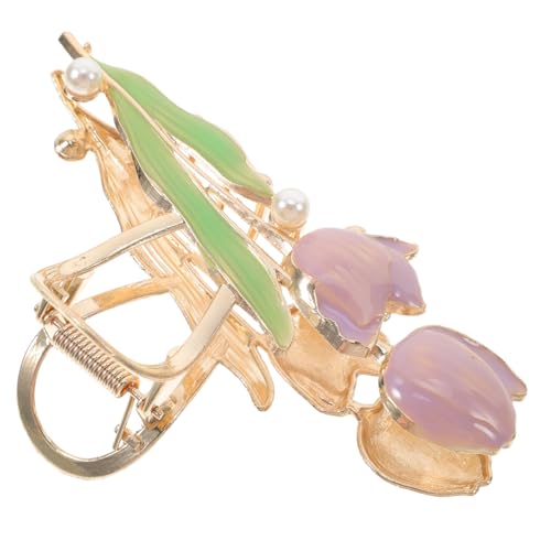 Holibanna `[bv^ wANbv 傫ȃV[NNbv Ԃ̌` A~ wAXO ANZT[  Obv p  s 