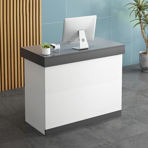 ModernDesk Obsługa kasy fiskalnej do sklepów, 120 cm, szara lada, do domu, biura, salonów piękności, do kasy detalicznej, stylowe meble