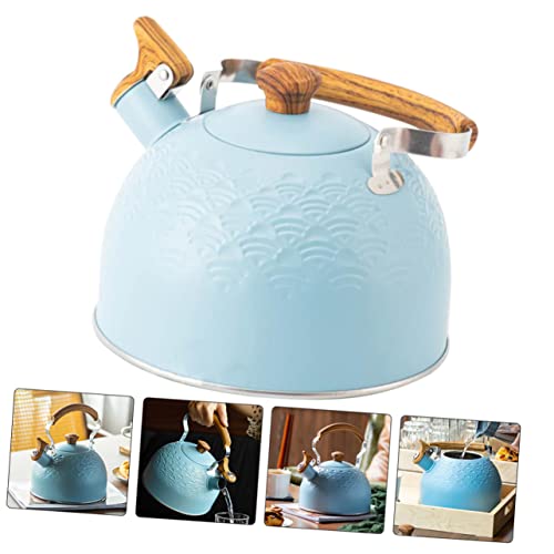Organiseur bleu 19x19x23cm étagère dressing