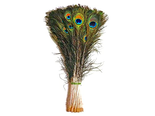 Moonlight Feather 50 Pieces - 20-25" Natural Long Peacock Tail Eye Wholesale Feathers (Bulk) Halloween Craft Supply #TOP9