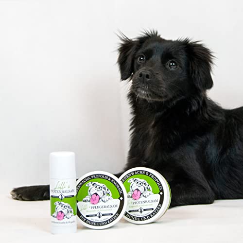 Lillis Naturlas Pfotenbalsam 100ml schützt im Winter vor EIS und Schnee und im Sommer vor heißem Asphalt