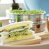 Zoom IMG-1 jotekonoby vassoio per germogli di Zoom IMG-1 jotekonoby vassoio per germogli di