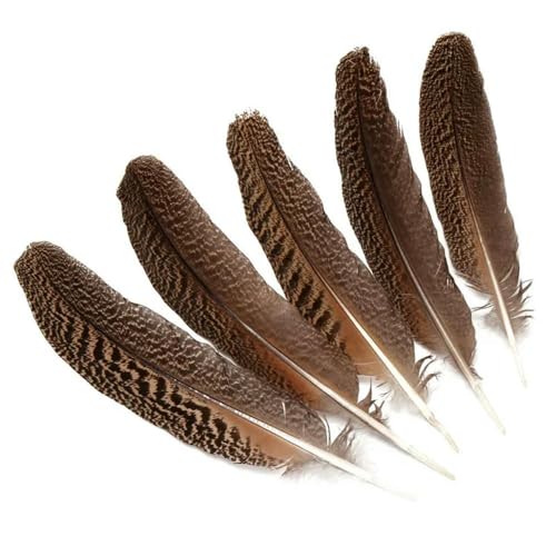 ROCILB 10 Teile/los Natürliche Echte Eule Adler Federn für Handwerk 25-40CM 10-16 \"Fasan Feder Hochzeit Dekoration Hüte Plumas
