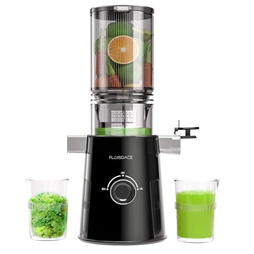 Cold Press Juicer, Slow Masticating Juicer Machines with 5