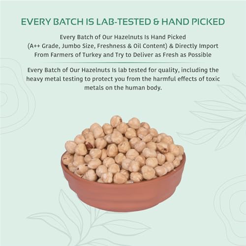 Image of NUTTY ORGANICS Premium Hazelnuts - 1KG Unsalted and Crunchy | Excellent Source Of Omega 3 And Phenolic Compound (500 GM*2)