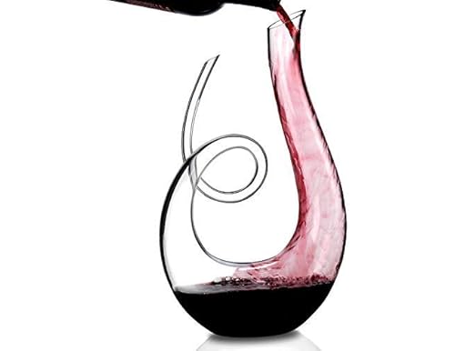 Best Wine Enthusiast Decanters: A Comprehensive Guide