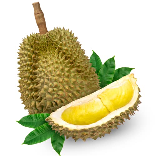 Whole Durian 4.5kg -/+10% | Premium Fresh Tropical Fruit | Authentic Asian “King of Fruits” | Rich, Creamy & Sweet Golden Flesh