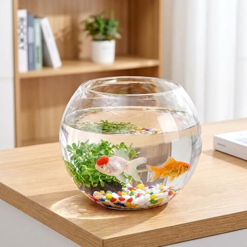 水槽 20cm メダカ 金魚 アクアリウム 円筒形水槽 ポンプ付き 20cm 水槽 丸型」の人気商品一覧・価格比較 - 価格.com