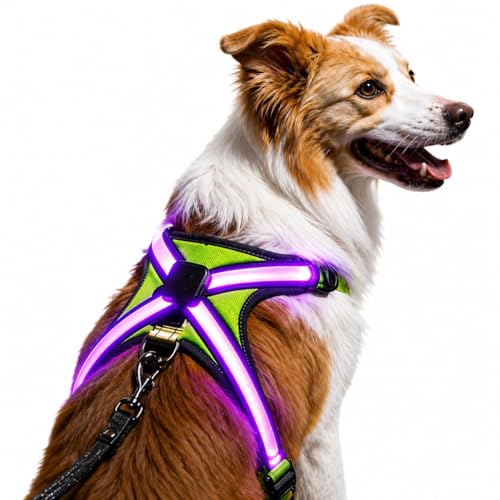 Light Up Dog Harness Type-C Rechargeable LED Dog Harness with RGB Multi-Colour Lighting Mode & 500mAh Battery, 500m Visible Waterproof Glow in The Dark Safety Vest for Night Walking, Avoid Accident XL
