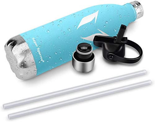 Super Sparrow Insulated Water Bottle Double Wall Vacuum Stainless Steel Bottle, Small Mouth Cola Shape Travel Thermal Flask 12/17/25oz Bottles, Perfect for Outdoor Sports Camping Hiking Cycling