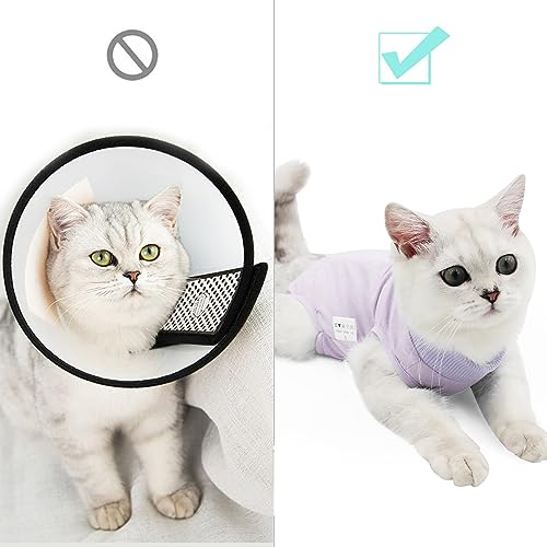 Image of DOTON Cat Recovery Suit for Male and Female Surgical Post Surgery Soft Cone Onesie Shirt Clothes Neuter Licking Protective Diapers Outfit Cover Kitten Spay Collar(L, Purple)