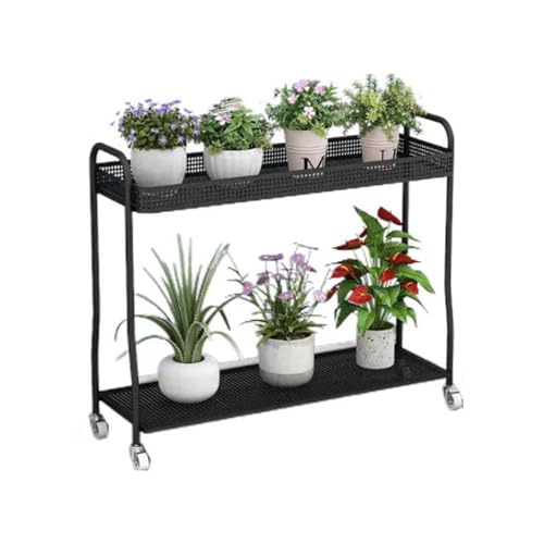 Étagères à plantes de haute qualité Color1, support haut de gamme pour jardin