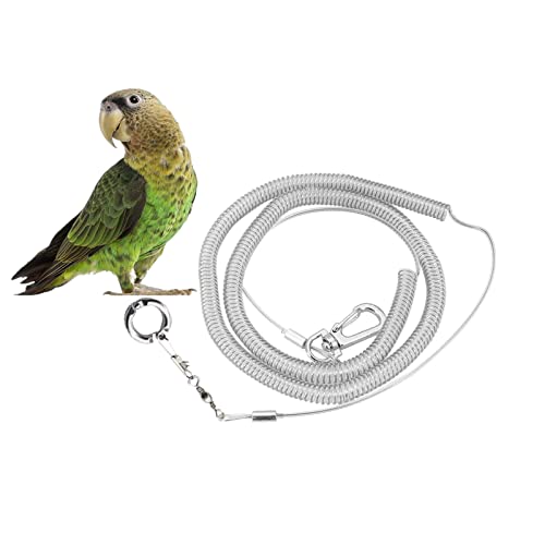 Correa de arnés para pájaros de loro, 3M Anti-mordedura Cuerda de entrenamiento de vuelo al aire libre Anillo de tobillera de cadena de pie de loro para cacatúa guacamayo Cacatúa gris africana Cover