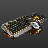 Gaming Keyboard Orange Backlit and Rainbow Mouse Combo,Color Change LED Backlight Computer Gaming Keyboad,Lighted PC Gaming Mouse,USB Keyboard Raised Key,Silver Metal,for Xbox One PS4 Gamer Working
