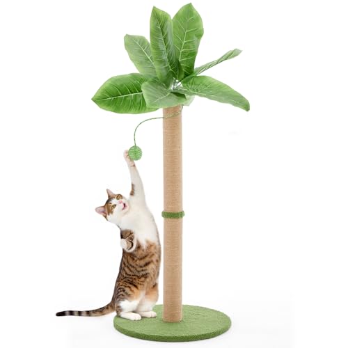 Image of Sweetcrispy 33 inch Cat Scratching Post for Indoor Cats, Cat Scratcher Scratching Posts with Dangling Ball for Adult, Palm Tree Cat Scratch Post for Kittens, Green
