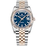 TAYSHILEY Pagani Design Luxury Men's Automatic Watch DD36 Sapphire Dial Glass with AR...