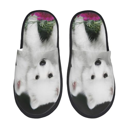 [JECASS]  13 lC v[g Aj Xbp  Y 􂦂 gC qp p E Xbpjp LN^[ ObY  fB[X ~ 킢 qpl