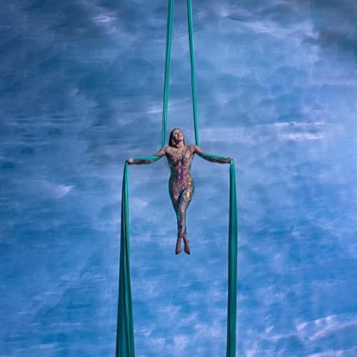 Making Art from Fire and Ice: Glacier Aerialism, Wildfire, and Climate Hope with Sasha Galitzki