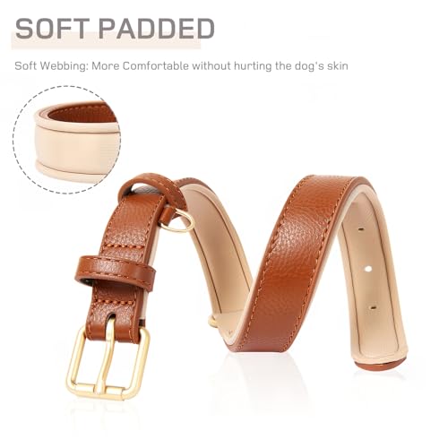 HEELE Hundehalsband aus weichem Leder, für kleine Hunde, atmungsaktiv, gepolstert, mit D-Ring, verstellbar, klassisches Hundehalsband, Braun, S