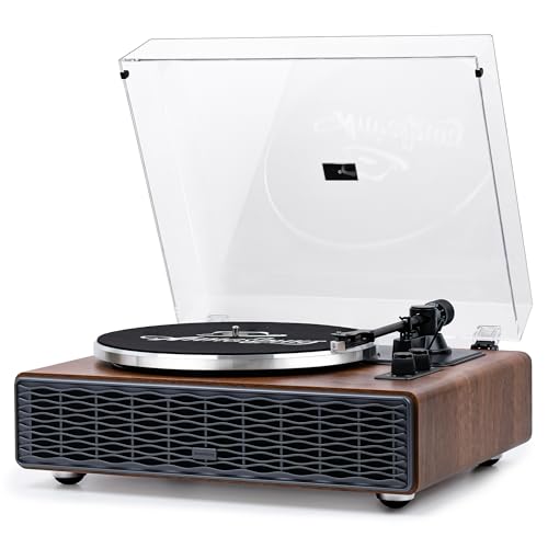 Annesburg Vinyl Record Player