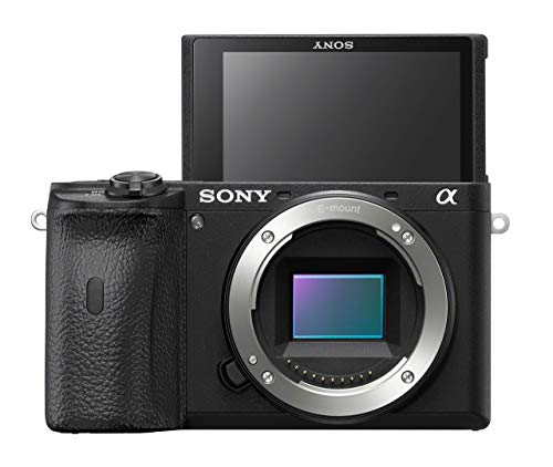 Sony Alpha A6600 Mirrorless Camera (Renewed)