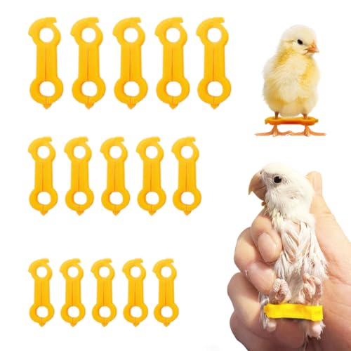 Yiqianhome 15pcs Baby Chicken Parrot Splay Leg Hobbles,Poultry Leg Bands for Newborn Spraddle Leg of Chick?Quails?Ducks?Bird Parrot of 1 to 3 Days Newly Hatched,3 Sizes
