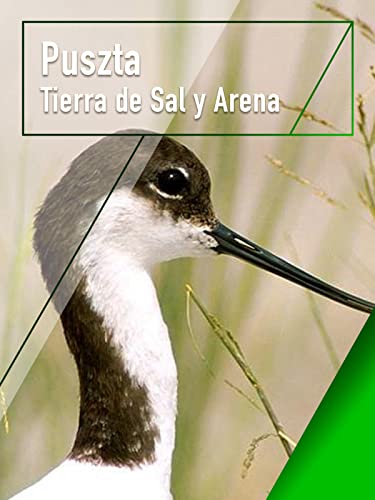 Puszta - Tierra de Sal y Arena