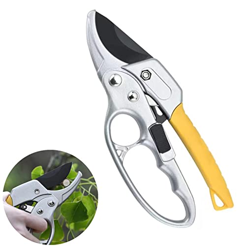 Find The Best Garden Pruners For Arthritis Reviews & Comparison Katynel