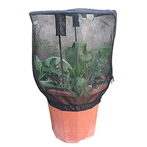 Plantennet Cover, Beschermende Rits Mesh Netto Bag Tuin Plant Cover Fruit Bescherming Tuin Cover voor Plant Fruit