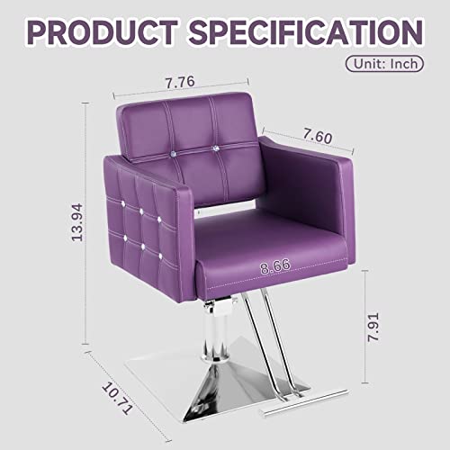 Hicomony Purple Salon Chair For Hair Stylist, Barber Chair For Barbershop/Home, Height Adjustable Hydraulic Hair Salon Hair, All-Purpose Salon Equipment For Women(Purple) #TOP2