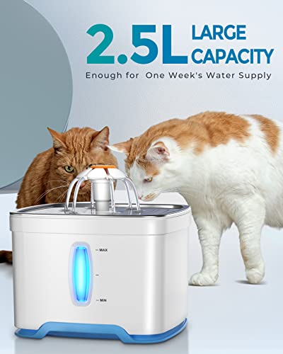 Peteast katzenbrunner: LEISE Trinkbrunnen für Katzen/Hunde 2.5L mit Sichtfenster& Nachtlicht für Katze, Hunde, Vogel - Image 6