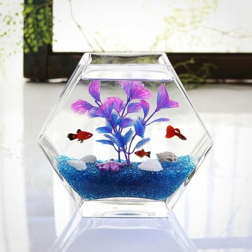 AOBOPOZp` KX  + ؐCg  _JEۃeEEk͔|p