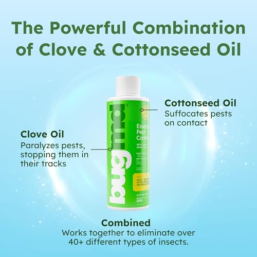 Image of BugMD Ant Killer & Bug Spray Concentrate - Indoor Cockroach and Roach Killer, Spider Spray for Home, Fly and Insect Defense, Essential Oils, Plant-Powered, Eco-Friendly Pest Control - 3.7 Oz
