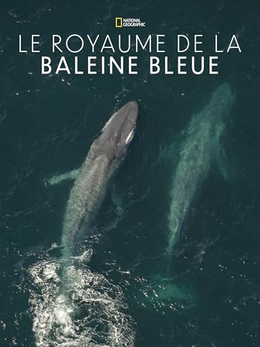 Le royaume de la baleine bleue