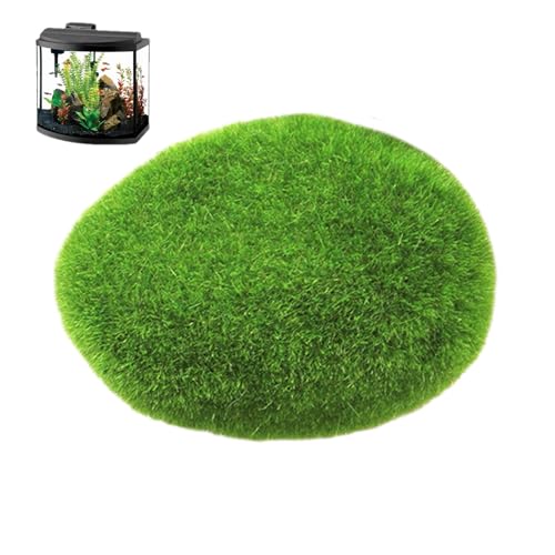 Générique Dekorative Mooskugeln, Mooskugeln für Aquarium – lebensechtes Moos-Aquarium | Flageldekor